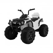Электроквадроцикл Ramiz Quad ATV 2.4G 12 В
