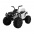 Электроквадроцикл Ramiz Quad ATV 2.4G 12 В