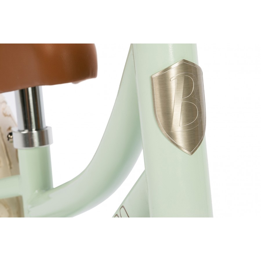 Детский беговел Banwood First Go