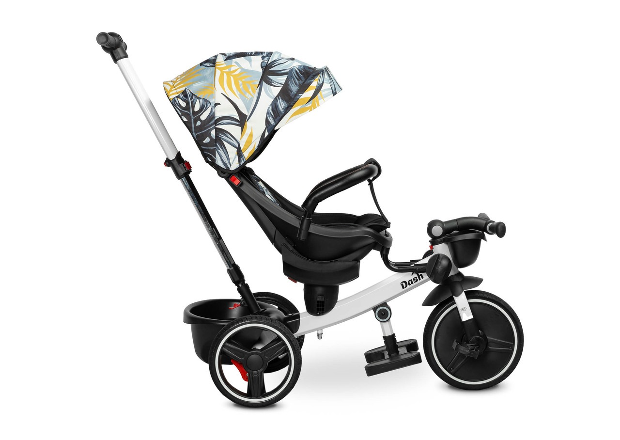Детский 3-колесный велосипед Caretero (Toyz) Dash с родительской ручкой