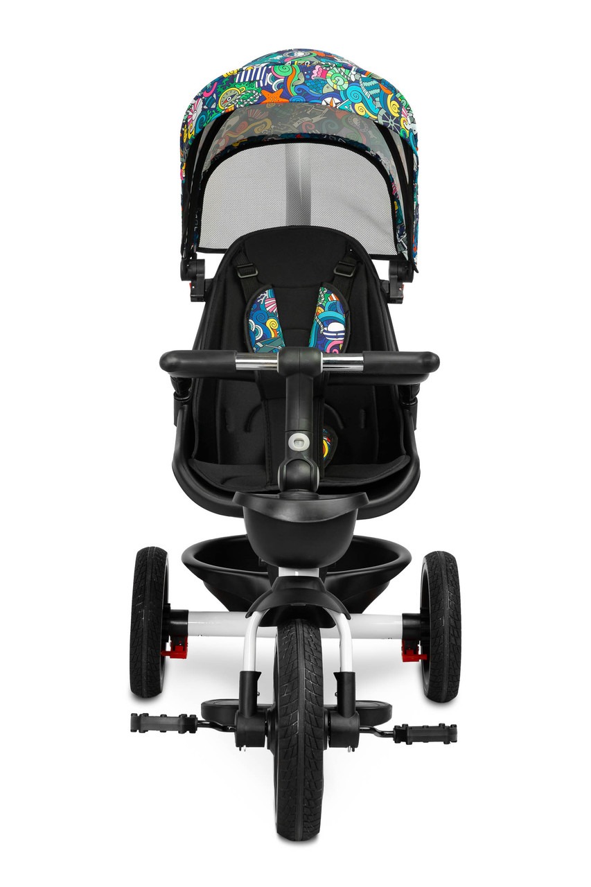 Детский 3-колесный велосипед Caretero (Toyz) Dash с родительской ручкой