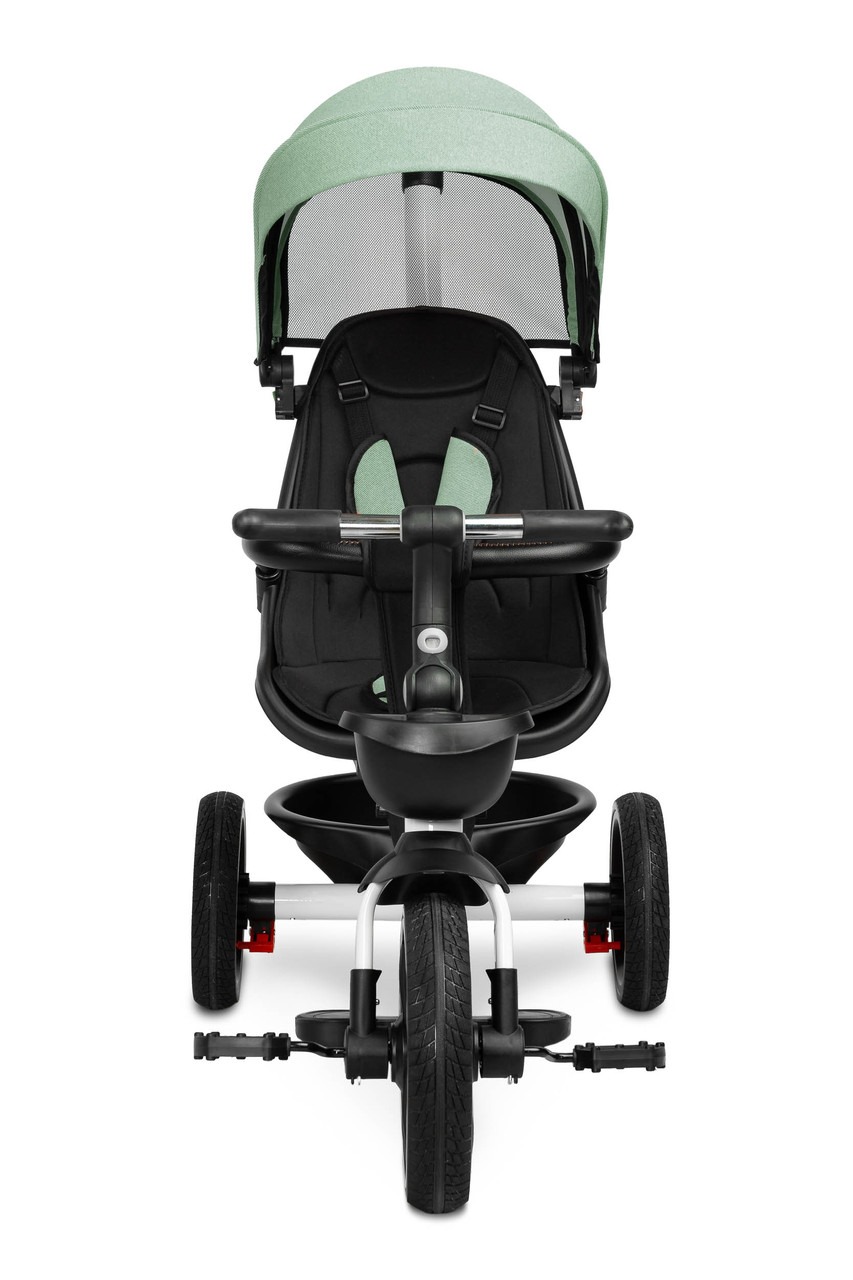 Детский 3-колесный велосипед Caretero (Toyz) Dash с родительской ручкой