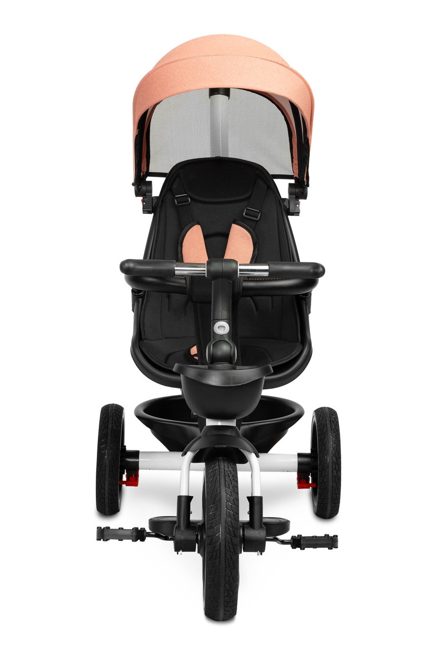 Детский 3-колесный велосипед Caretero (Toyz) Dash с родительской ручкой