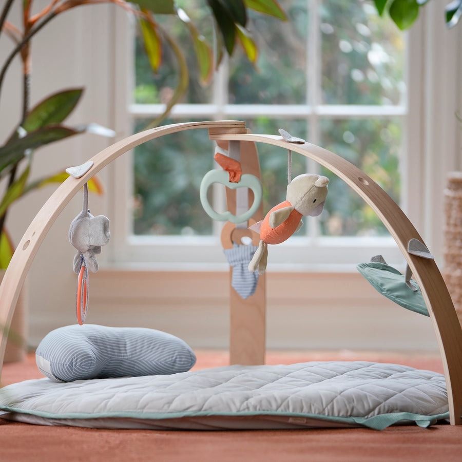 Развивающий коврик Ingenuity Cozy Spot