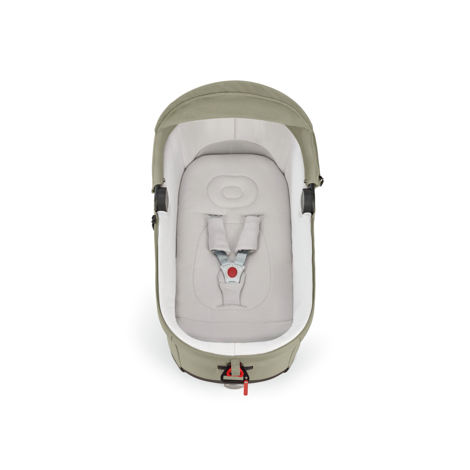 Универсальная коляска 2 в 1 Inglesina Electa с подставкой для люльки/автокресла