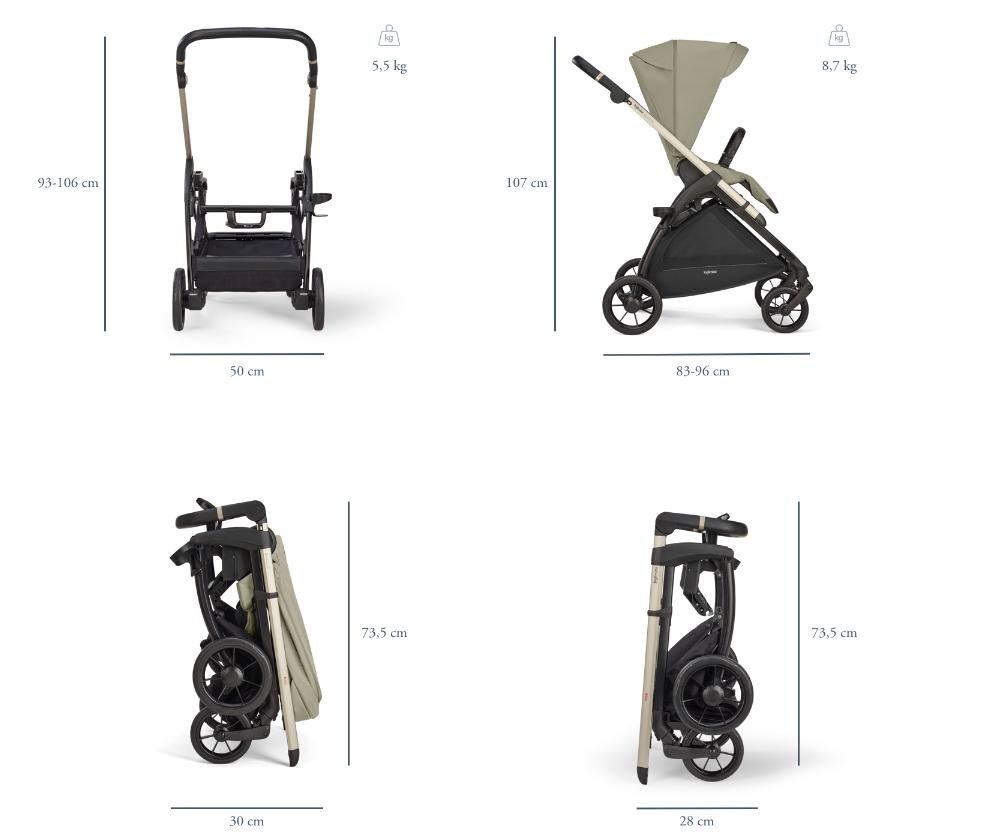 Универсальная коляска 3 в 1 Inglesina Electa с подставкой для люльки/автокресла (автокресло Darwin I-Size Recline)