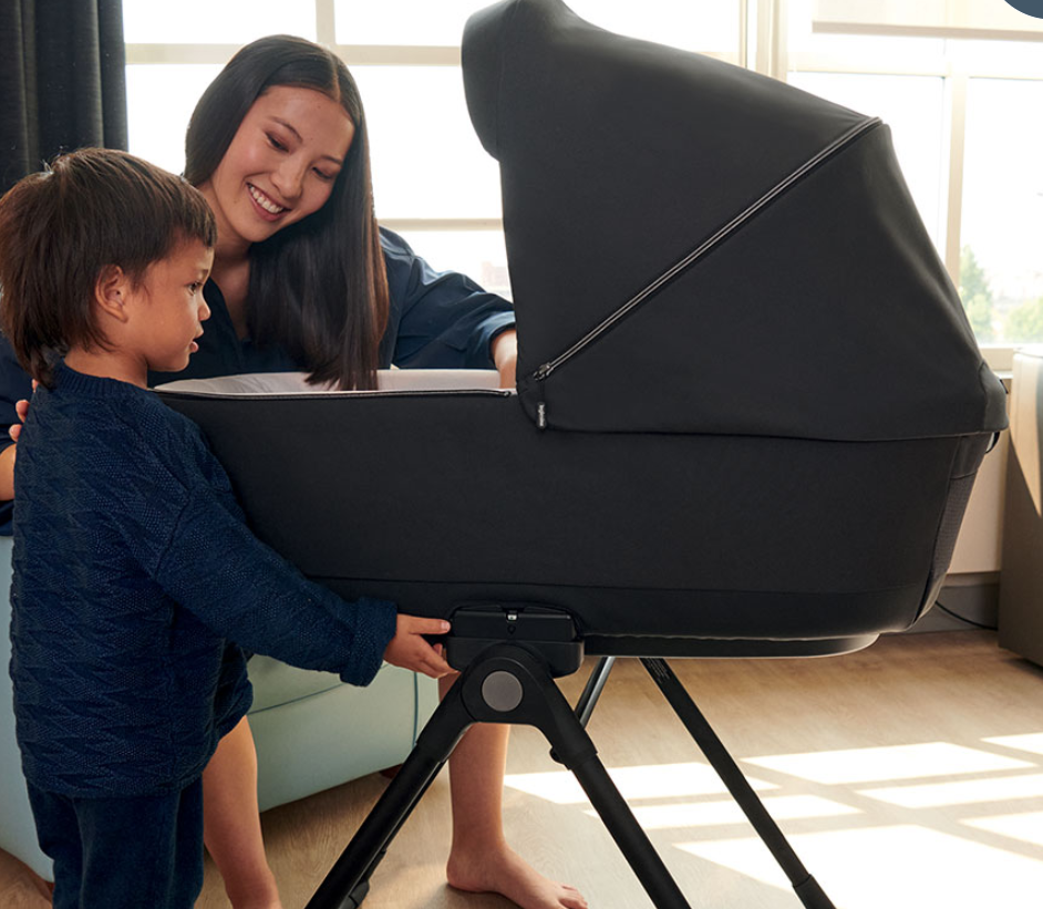 Универсальная коляска 2 в 1 Inglesina Electa с подставкой для люльки/автокресла