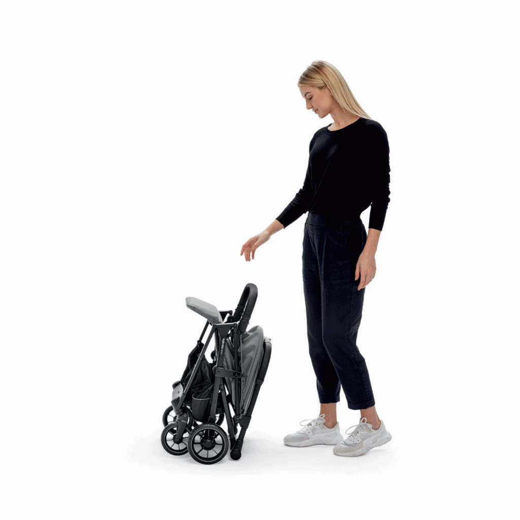 Прогулочная коляска Inglesina Now