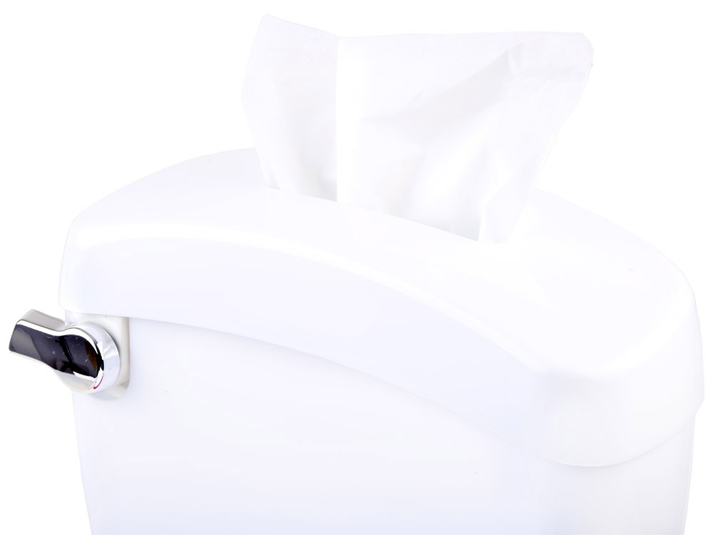 Обучающий горшок-унитаз Jokomisiada Rose, ZA3929 RO (5905258507088)