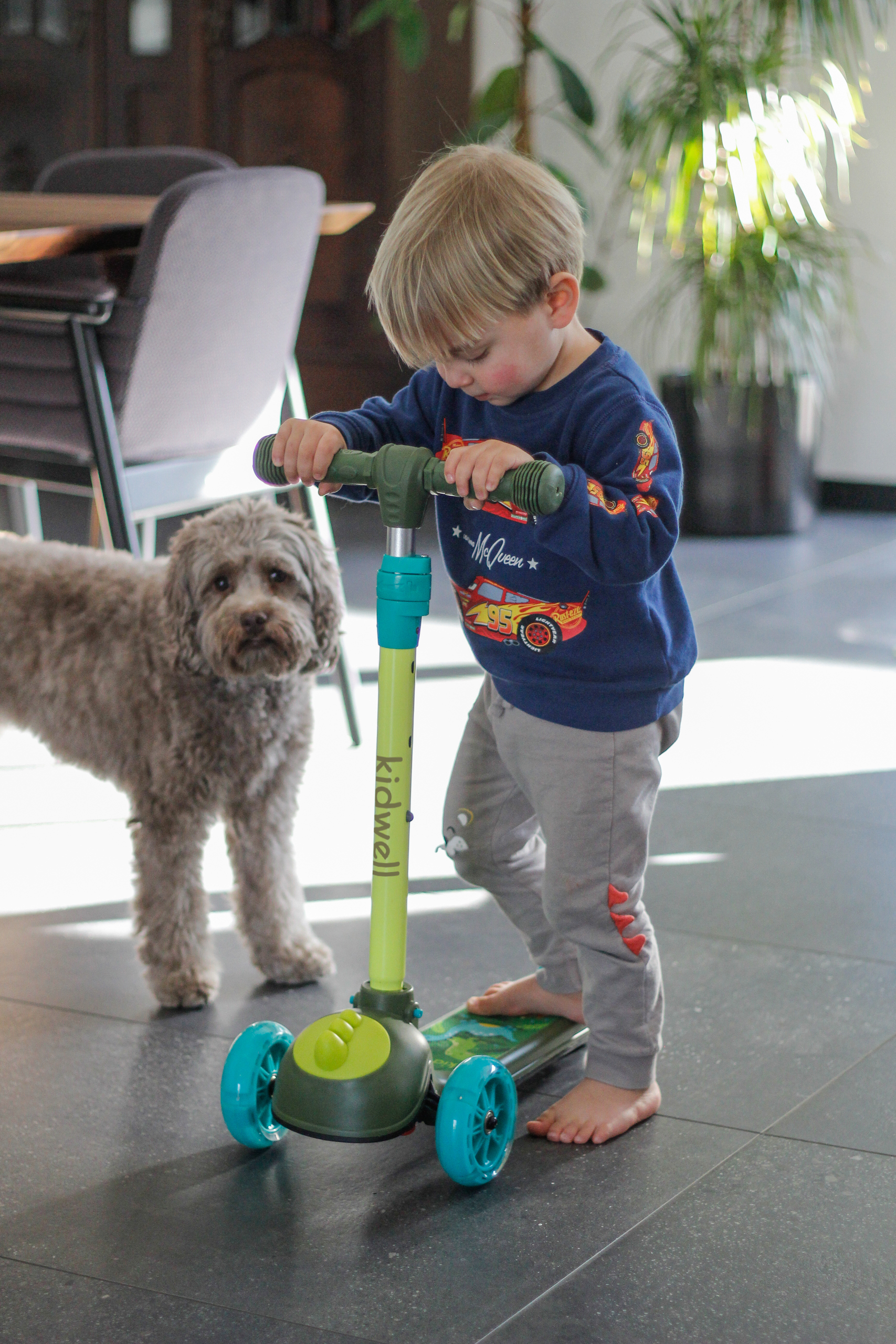 Детский 3-колесный самокат Kidwell Zoocar