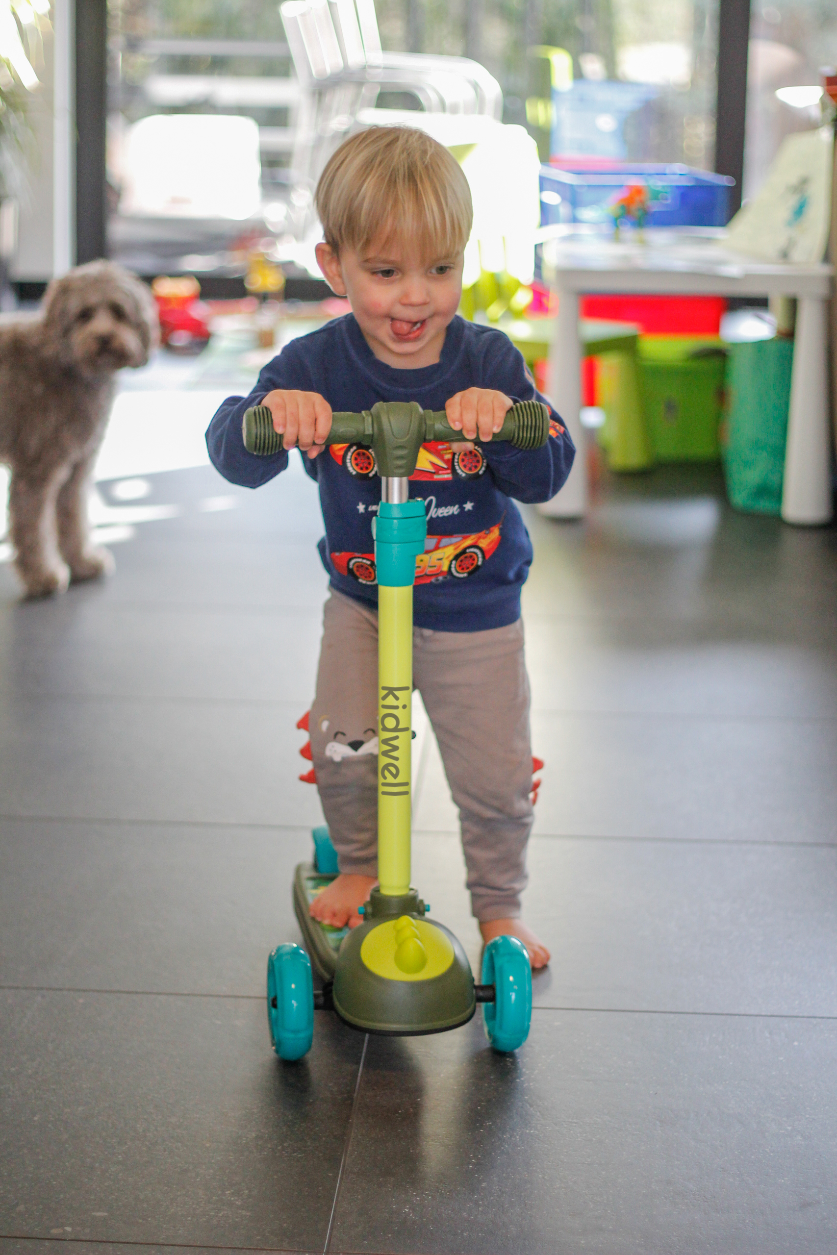 Детский 3-колесный самокат Kidwell Zoocar