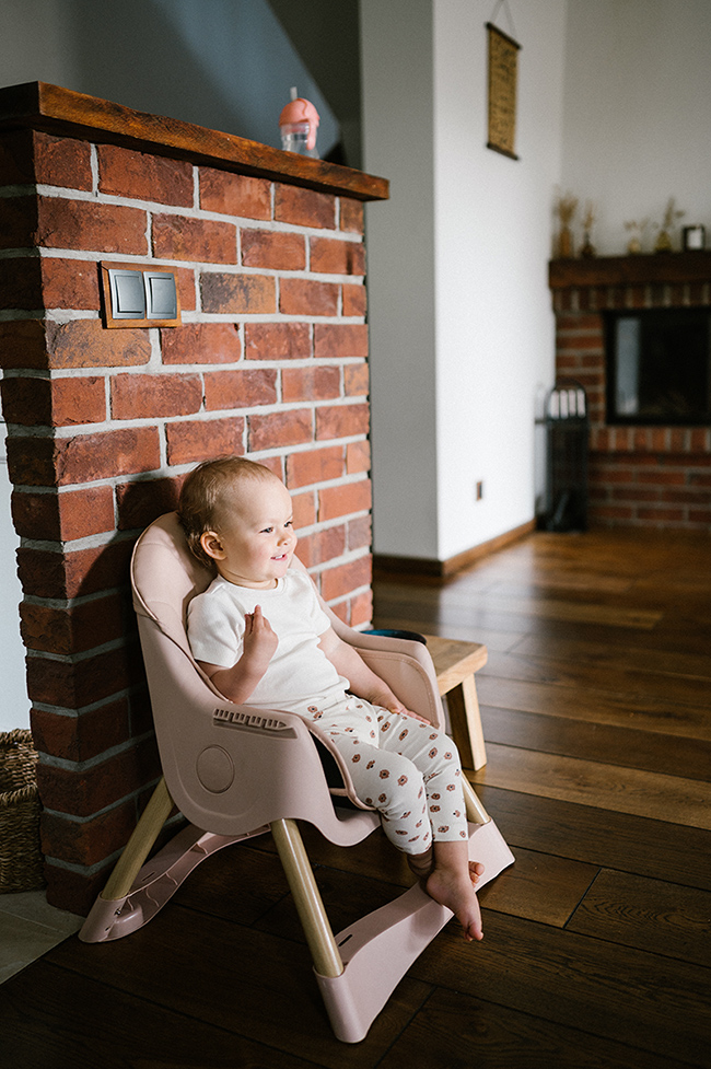 Стульчик для кормления 2 в 1 Kidwell Karimi