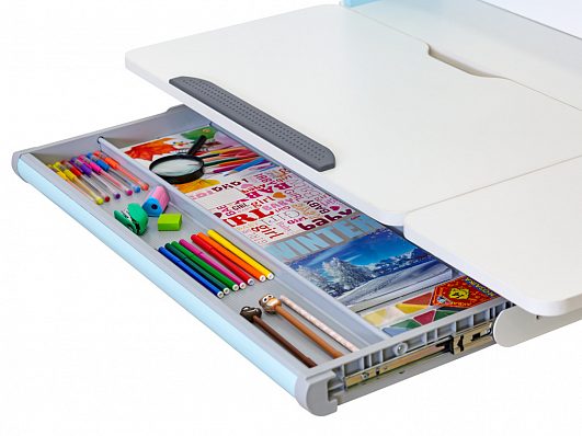 Детский стол Ergokids TH-330