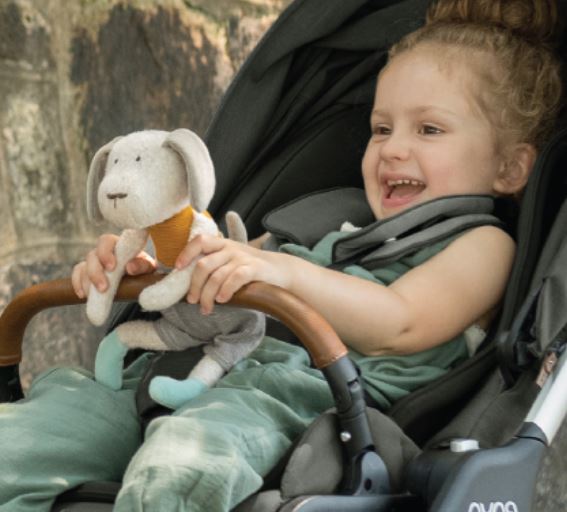 Универсальная коляска 2 в 1 Nuna TRIV