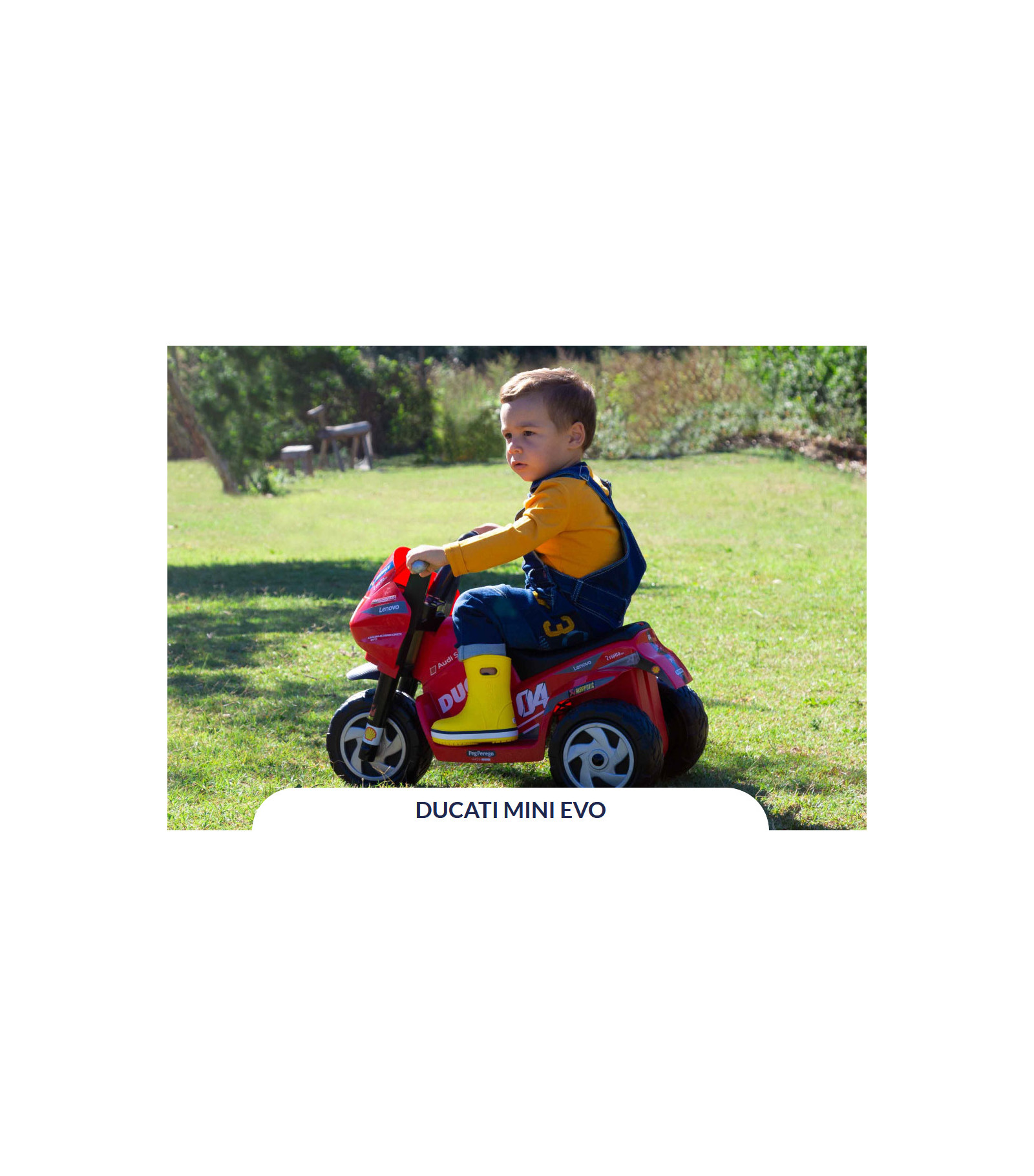 Детский электромотоцикл Peg-perego Mini Ducati Evo 0007