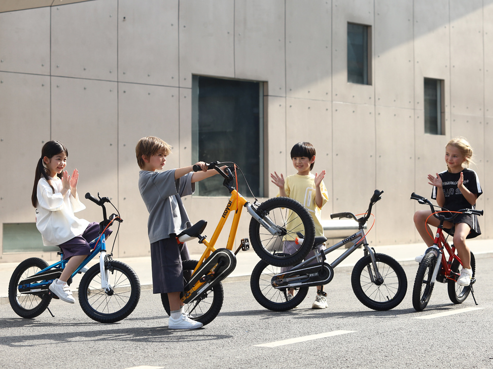 Детский велосипед RoyalBaby Freestyle 7.0 Perfect 16' RB16B-6