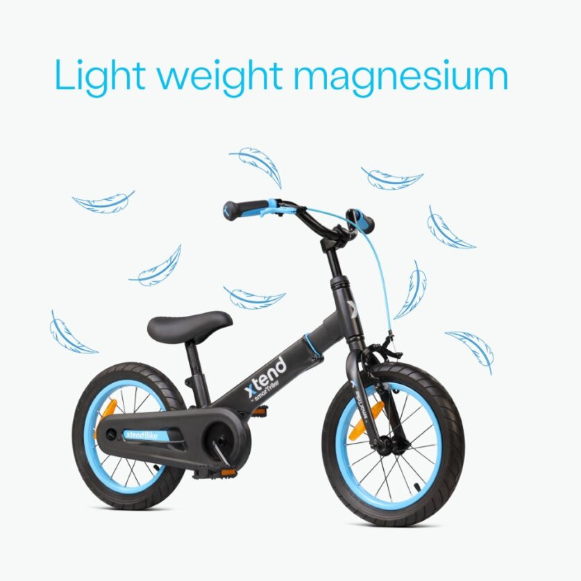 Детский велосипед Smart Trike 3 в 1 Xtend Bike