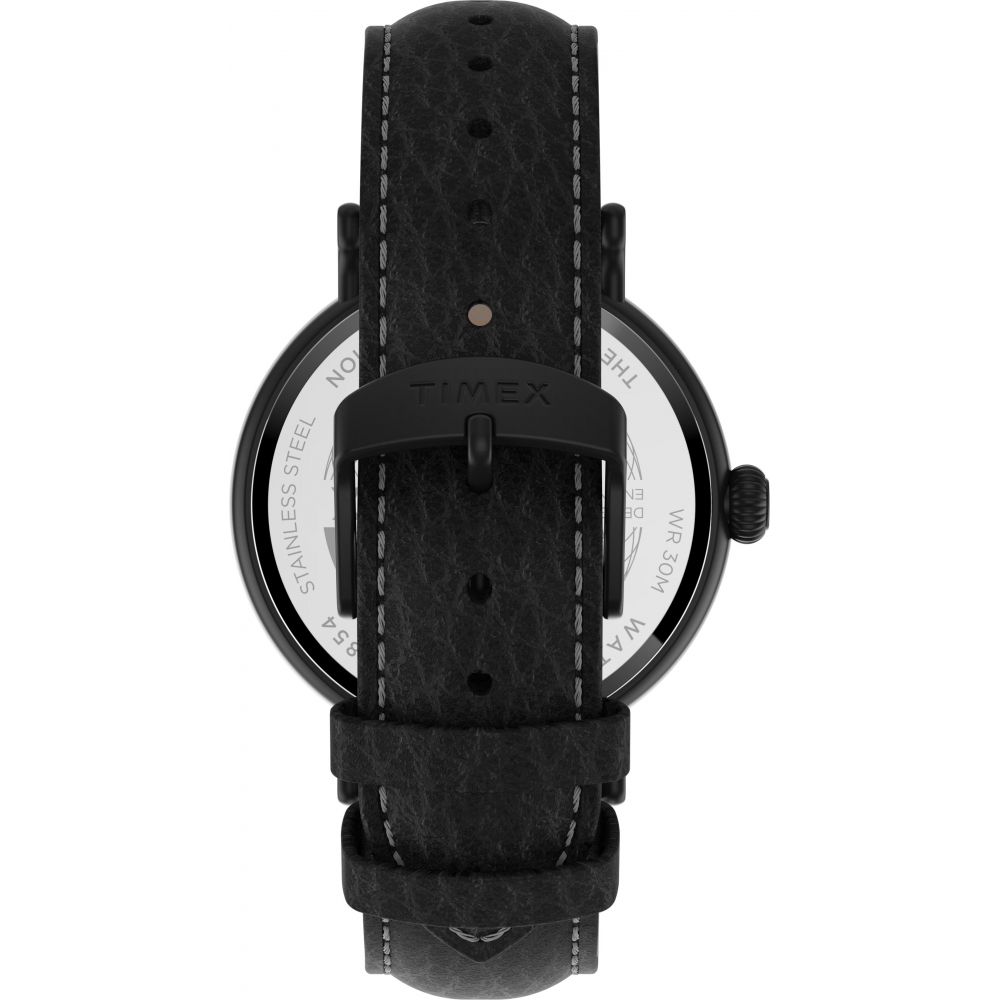 Мужские часы Timex STANDARD XL Tx2t91000