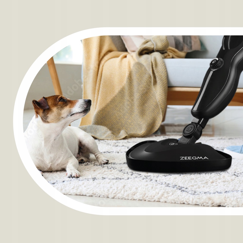 Паровая швабра Zeegma Puur, 4670